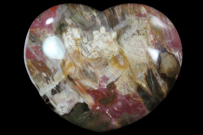 Colorful, Polished Petrified Wood Heart - Triassic #82749